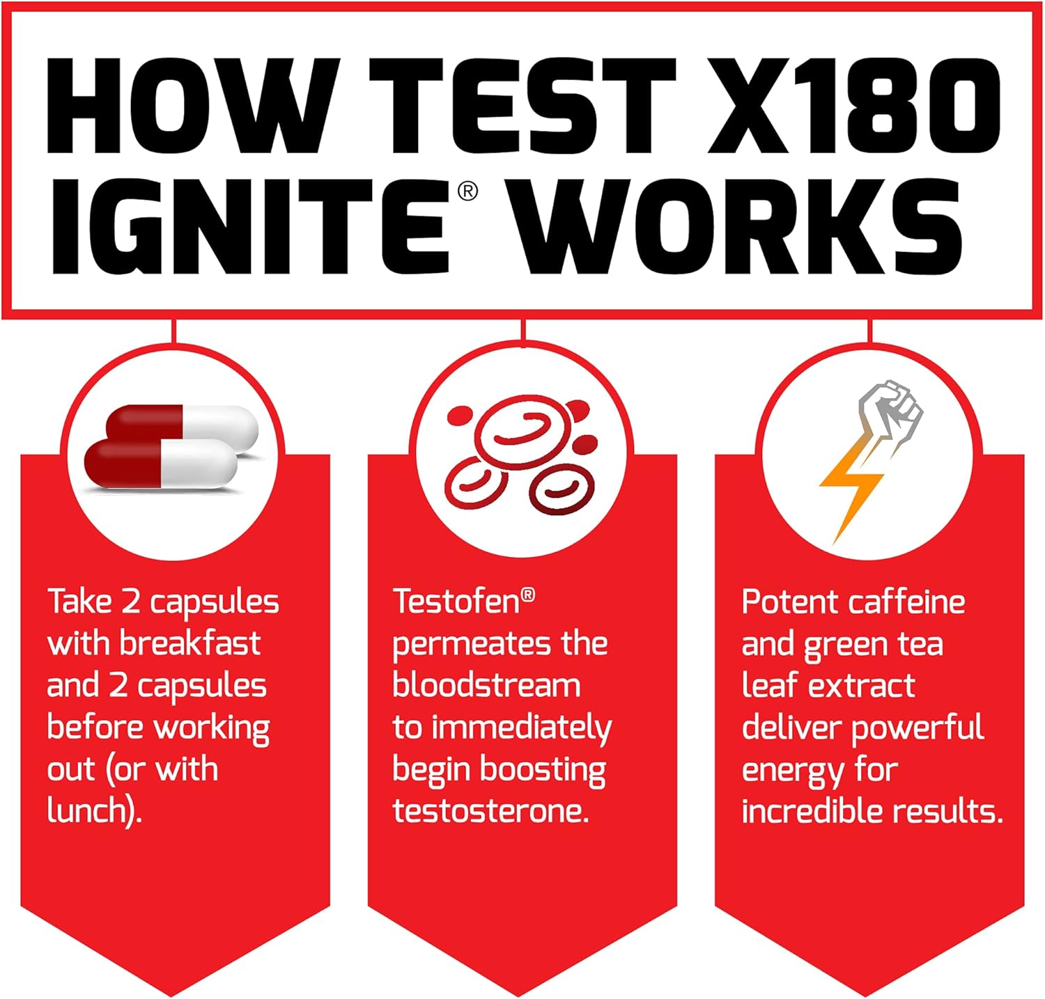 Infographic explaining how Test X180 Ignite works with red and white elements.